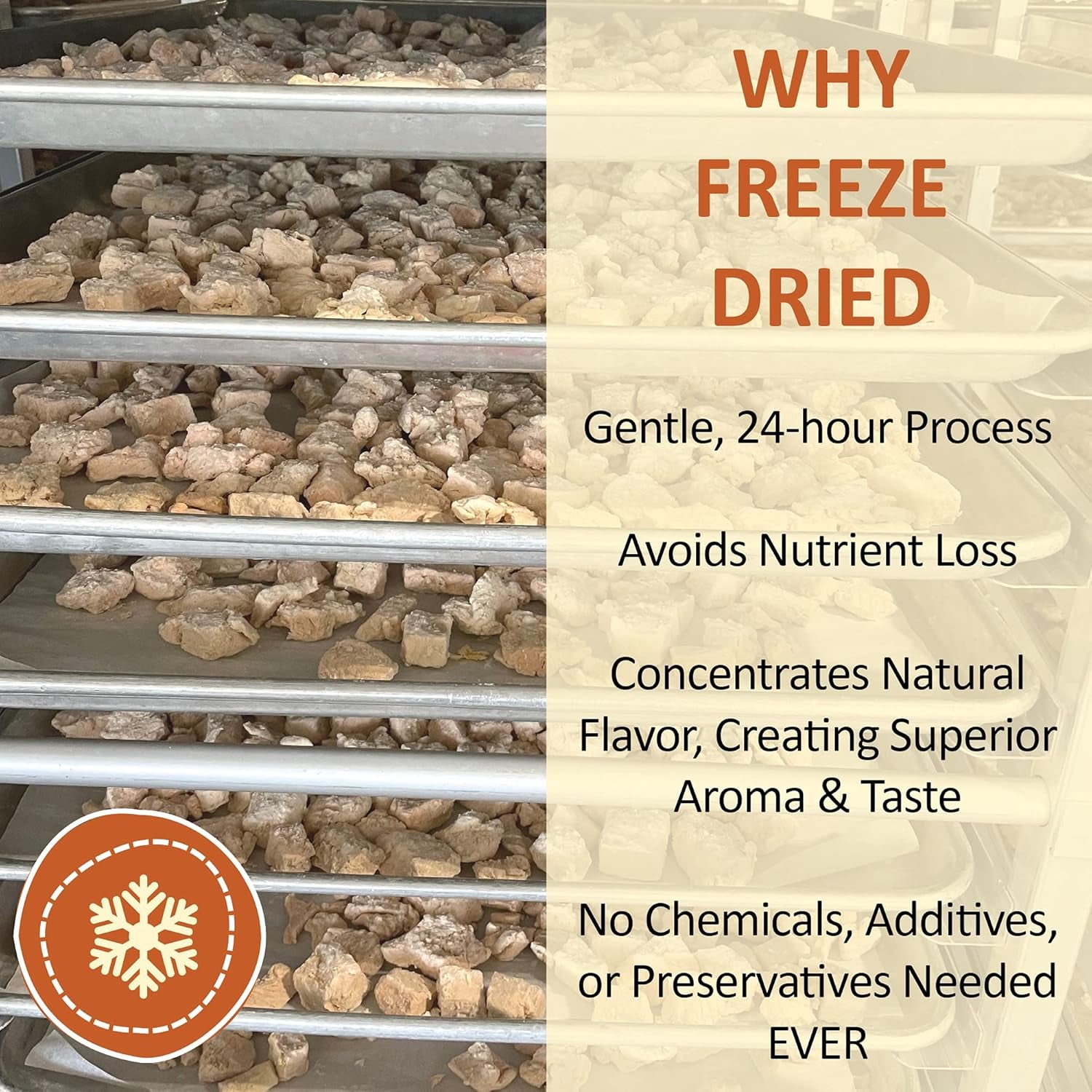 Healthy Cat Treats, Freeze Dried Human-Grade Wild-Caught Tuna, Protein Rich for Training, Weight Control Treats, Made in the USA, 1 Ounce