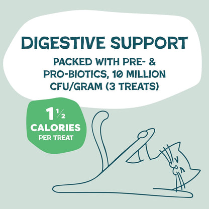 Crunchy Cat Treats - Catnip Treats for Cats with Digestive Support, Natural Ingredients Kitten Treats with Real Chicken, Healthy Flavored Feline Snacks - Catnip N Chill, 3-Pk