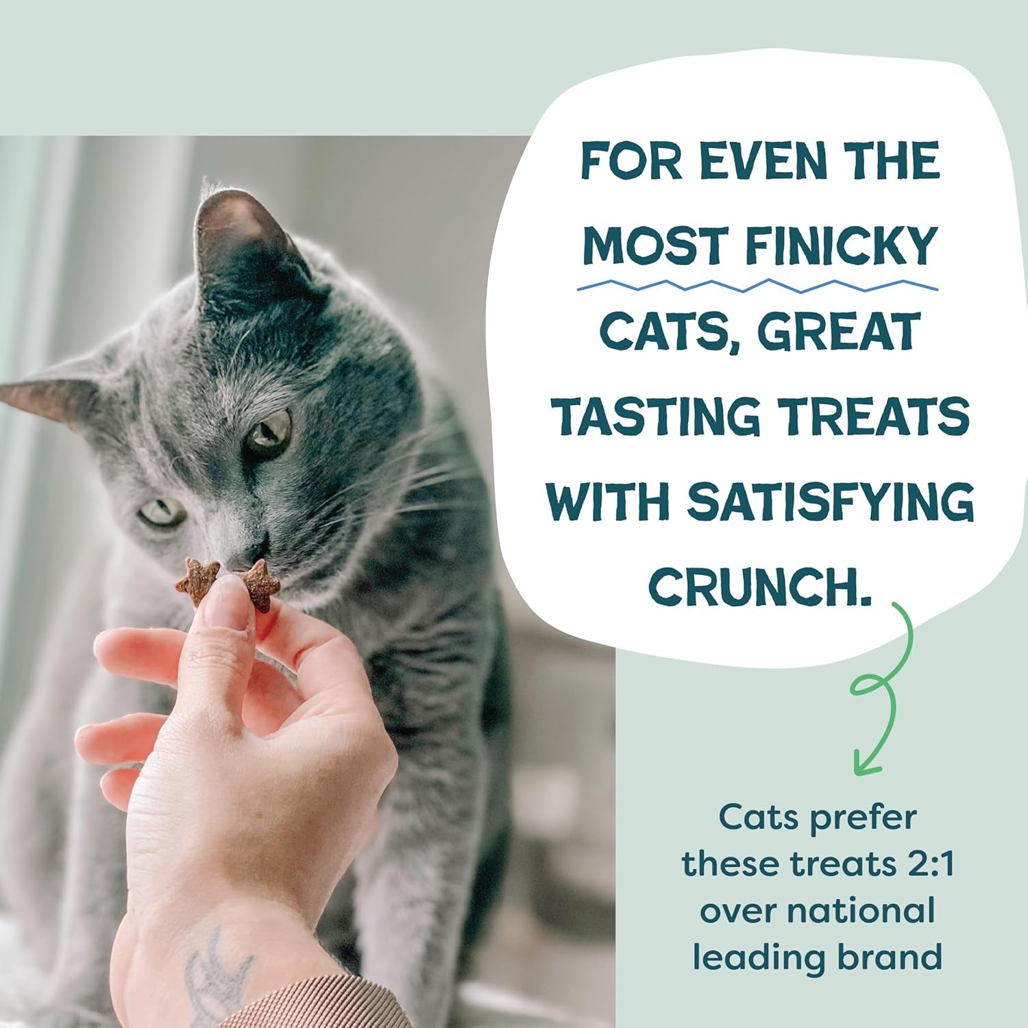 Crunchy Cat Treats - Catnip Treats for Cats with Digestive Support, Natural Ingredients Kitten Treats with Real Chicken, Healthy Flavored Feline Snacks - Catnip N Chill, 3-Pk