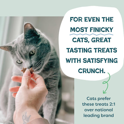 Crunchy Cat Treats - Catnip Treats for Cats with Digestive Support, Natural Ingredients Kitten Treats with Real Chicken, Healthy Flavored Feline Snacks - Catnip N Chill, 3-Pk