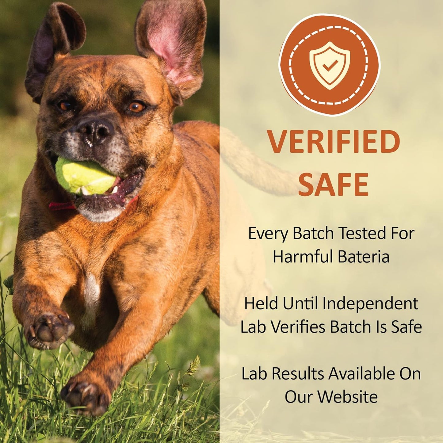 Healthy Cat Treats, Freeze Dried Human-Grade Wild-Caught Tuna, Protein Rich for Training, Weight Control Treats, Made in the USA, 1 Ounce