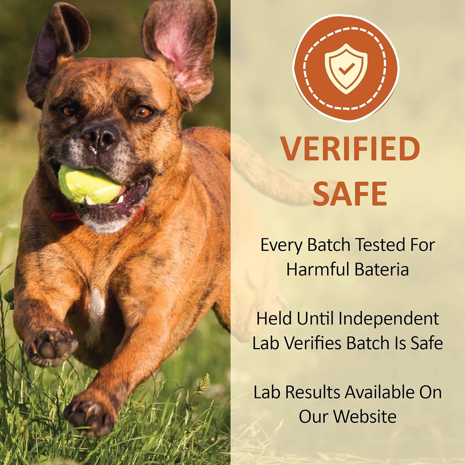 Healthy Cat Treats, Freeze Dried Human-Grade Wild-Caught Tuna, Protein Rich for Training, Weight Control Treats, Made in the USA, 1 Ounce