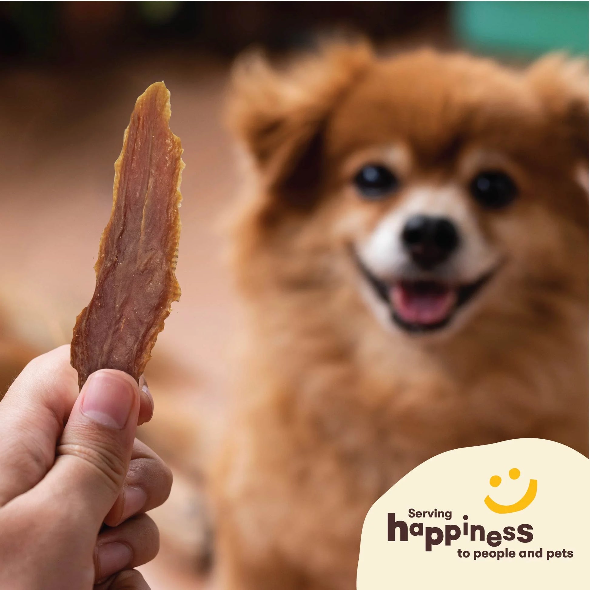 Duck Breast Jerky Dog Treats - 1 Pound