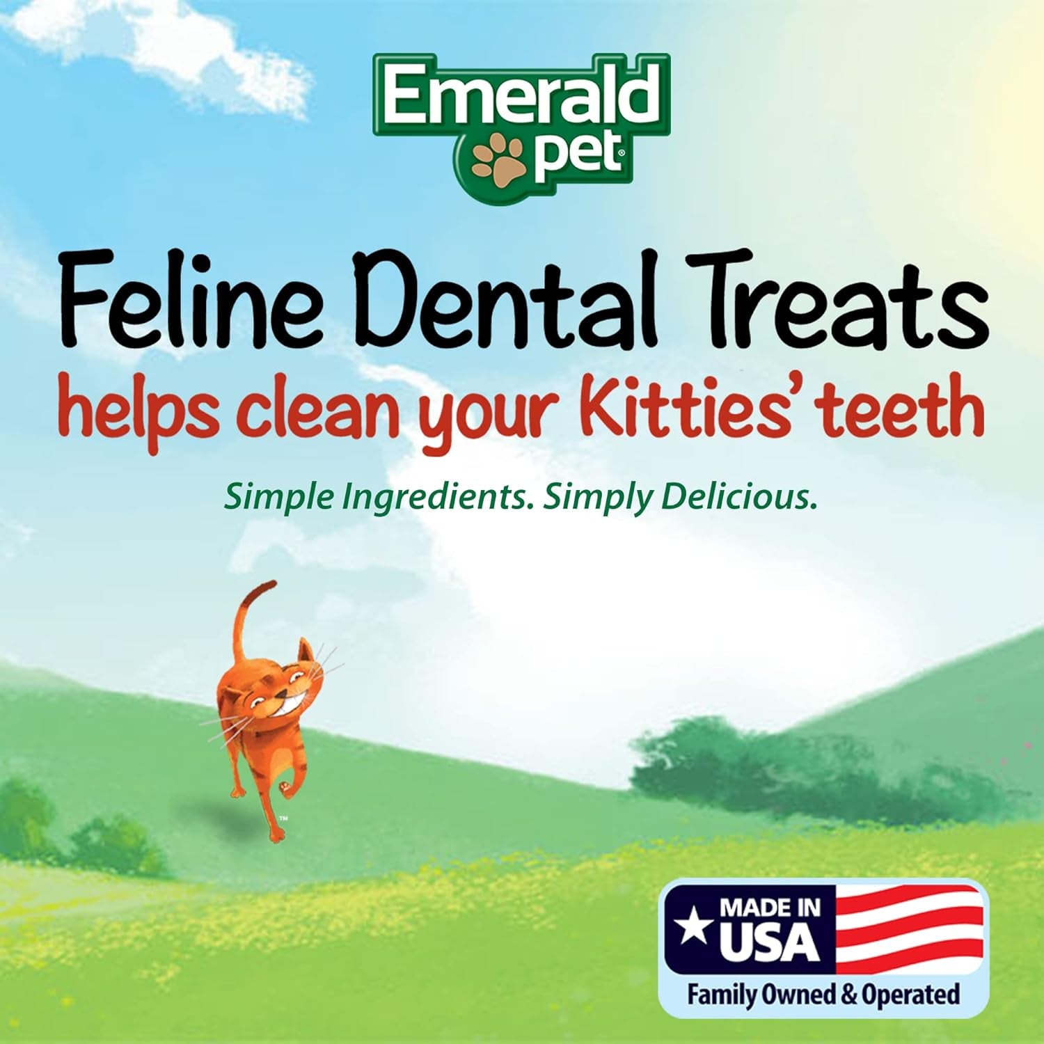 Grain-Free Feline Dental Treats, 11 Ounce Fresh Pack, Salmon Cat Treats, Made in the USA