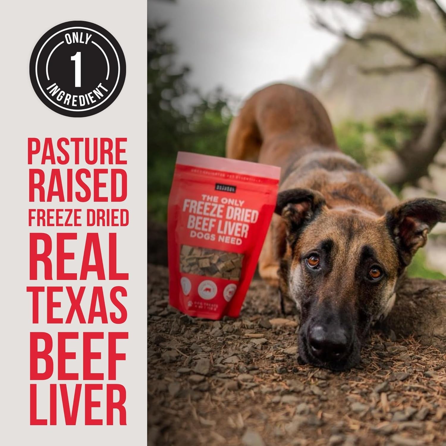 Beef Liver Dog Treats - the Only Freeze Dried Beef Liver Dogs Need - Grain-Free Beef Bites, Dog Treats for Small and Large Dogs (4 Oz.)