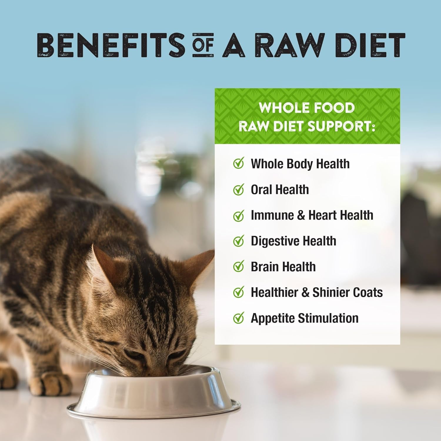 Freeze-Dried Chicken Cat & Kitten Food – Bite-Sized Nibbles – Healthy, Limited, Human-Grade Ingredients, All-Natural, High-Protein Raw Diet – Complete & Balanced, Made in USA, 11 Oz