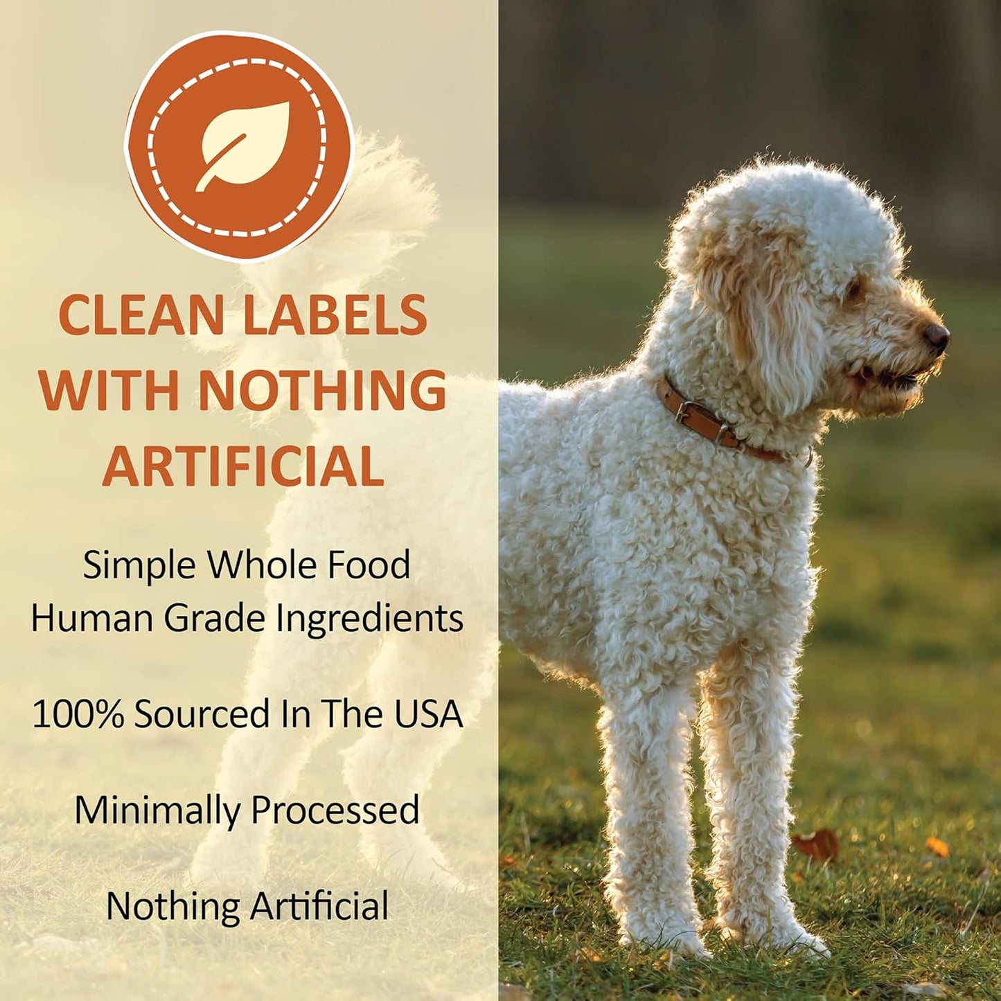 Healthy Cat Treats, Freeze Dried Human-Grade Wild-Caught Tuna, Protein Rich for Training, Weight Control Treats, Made in the USA, 1 Ounce