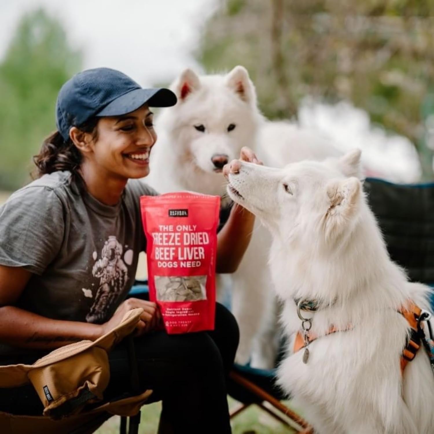 Beef Liver Dog Treats - the Only Freeze Dried Beef Liver Dogs Need - Grain-Free Beef Bites, Dog Treats for Small and Large Dogs (4 Oz.)