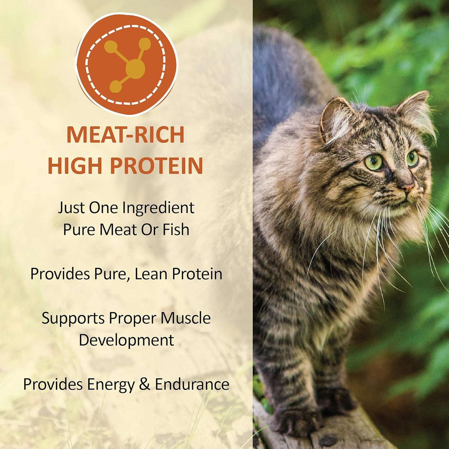 Healthy Cat Treats, Freeze Dried Human-Grade Wild-Caught Tuna, Protein Rich for Training, Weight Control Treats, Made in the USA, 1 Ounce