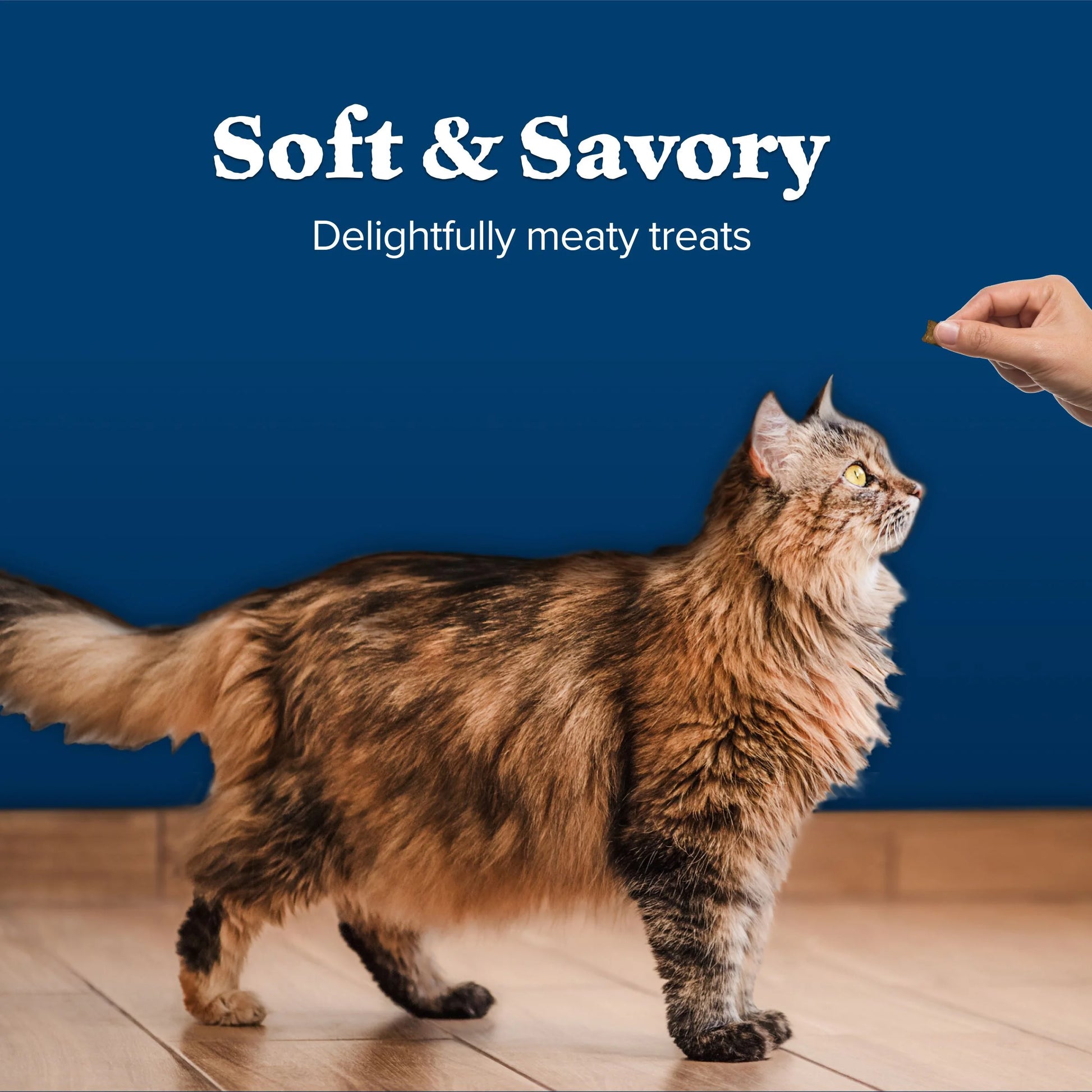 Wilderness Chicken & Salmon Flavor Dry Soft Treats for Cats, Grain-Free, 2 Oz. Bag