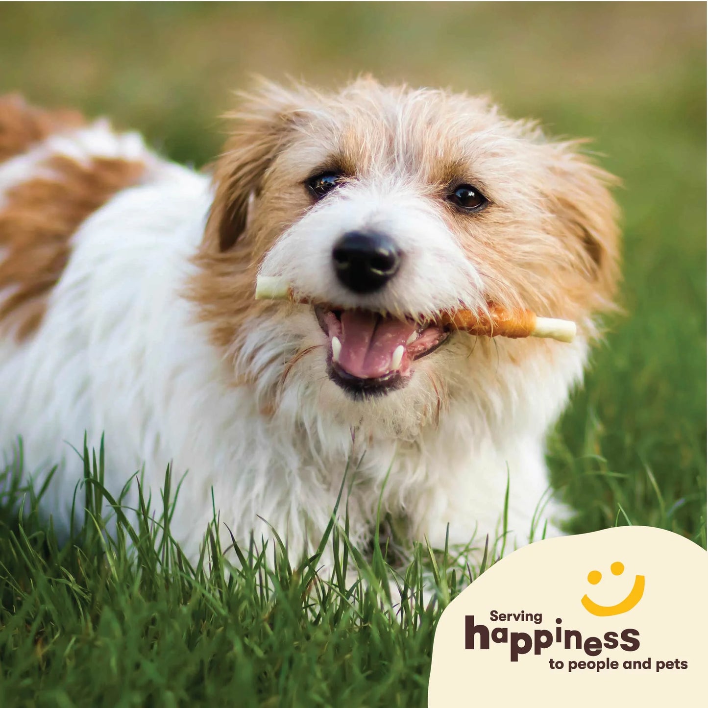 Hide Twists – Chicken Wrapped Rawhide Dog Treats - Small Twist - 2 Pounds